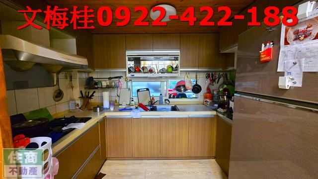 宜蘭市透天_別墅-5