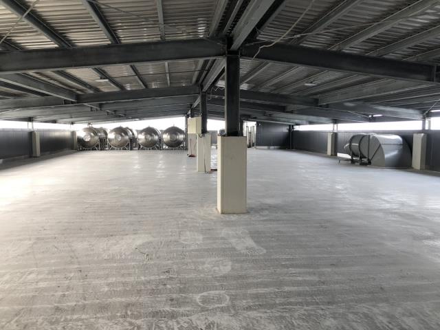 桃園桃園區廠房_倉庫-3