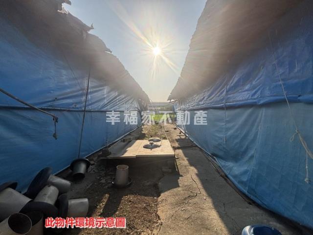 後壁畜牧設施雞舍-7
