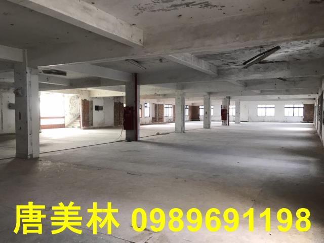 桃園平鎮廠房_廠辦_倉庫-2