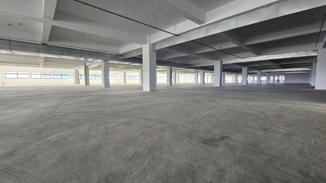 桃園新屋廠房_廠辦_倉庫-2