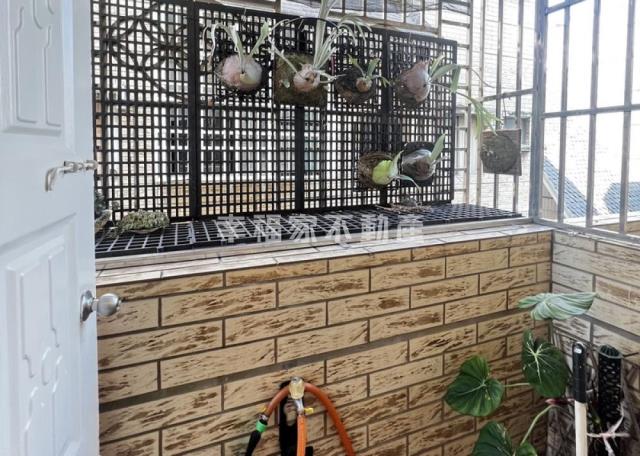 台南七股別墅-14