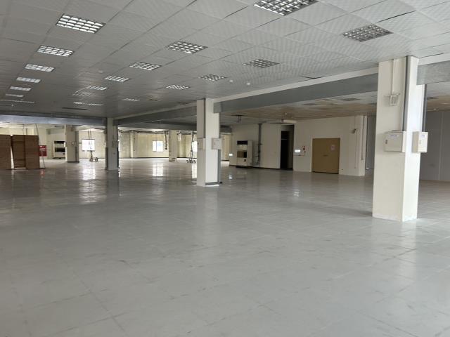 桃園廠房_倉庫-7