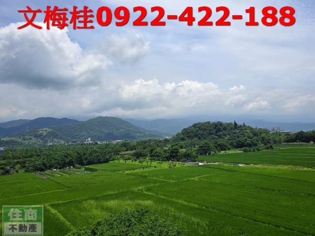 宜蘭透天_別墅_店面-2