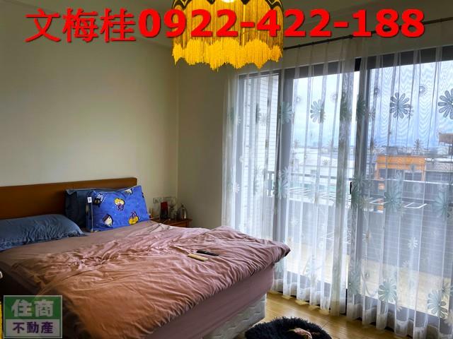 宜蘭透天_別墅_店面-3