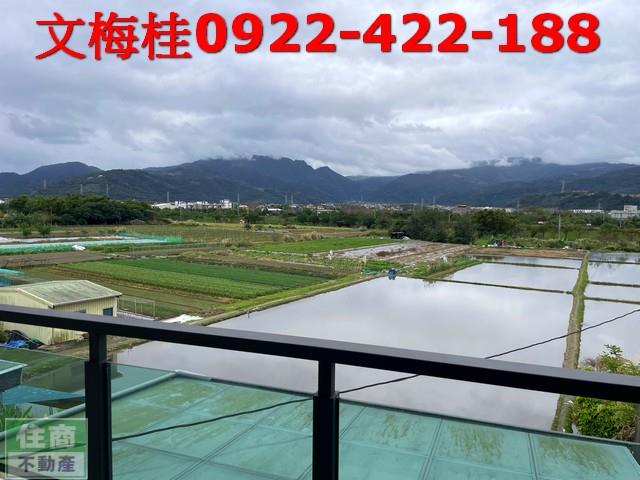 宜蘭透天_別墅_店面-4