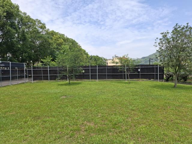 台中透天_別墅-10