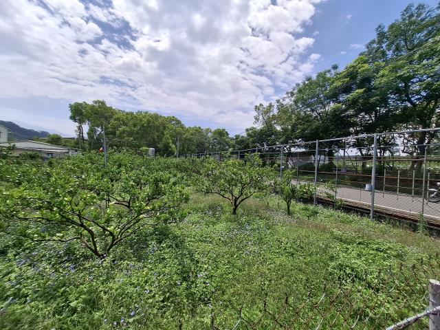 台中透天_別墅-11