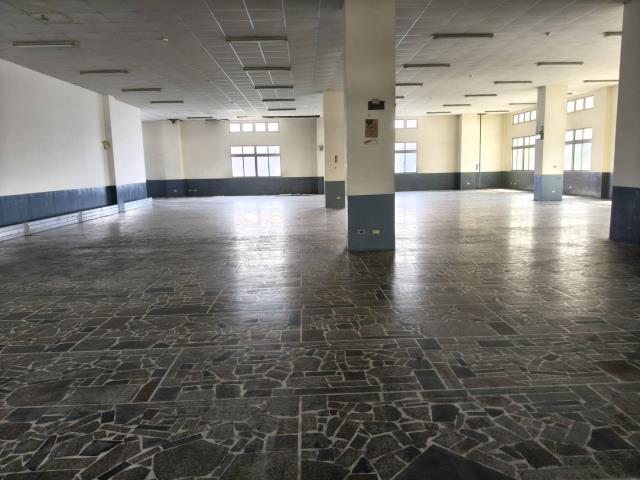 桃園蘆竹廠房-3