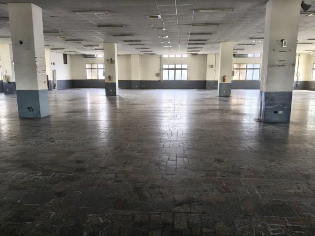 桃園蘆竹廠房-5