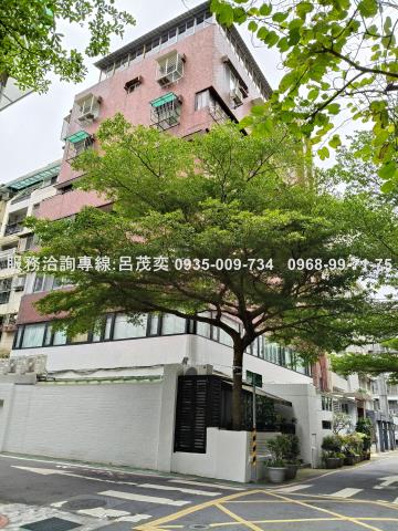 中正區大樓_華廈_另有頂樓加蓋-4