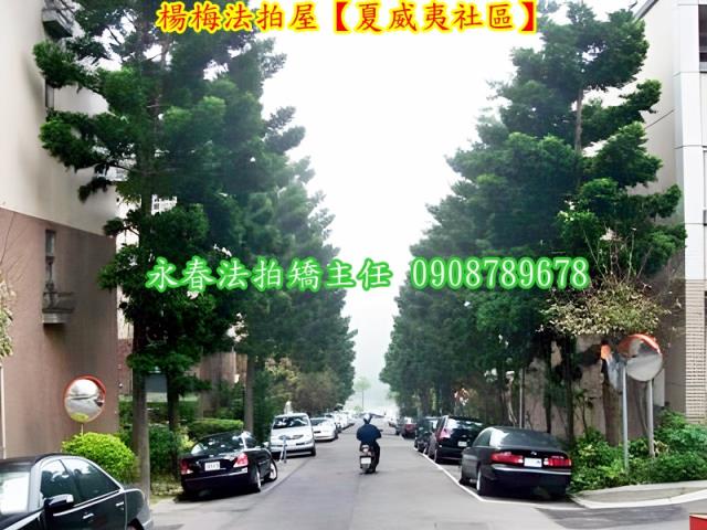 桃園透天_別墅拍賣-8