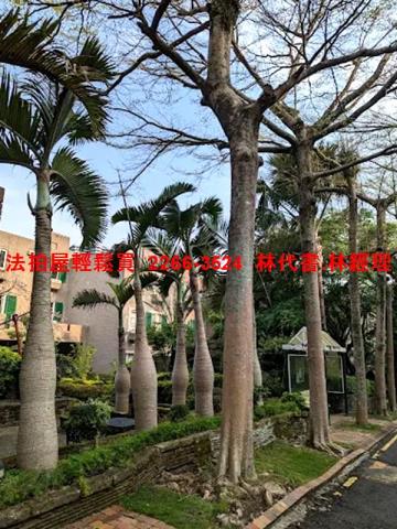 新北淡水法拍透天_別墅_有電梯-7