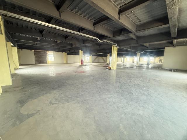 桃園廠房_廠辦_倉庫-4