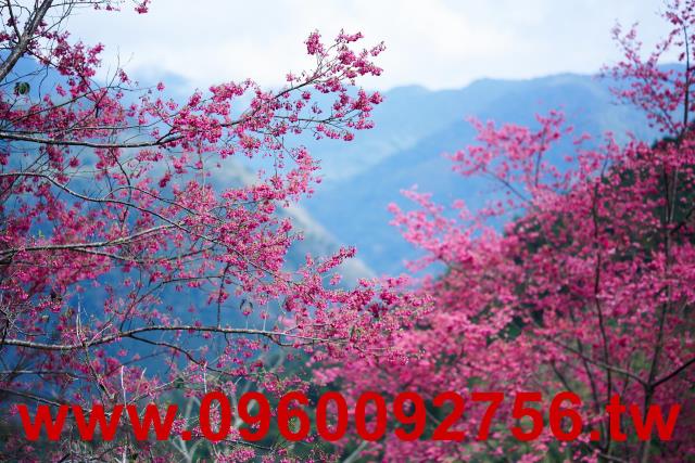 新竹休閒宅-7