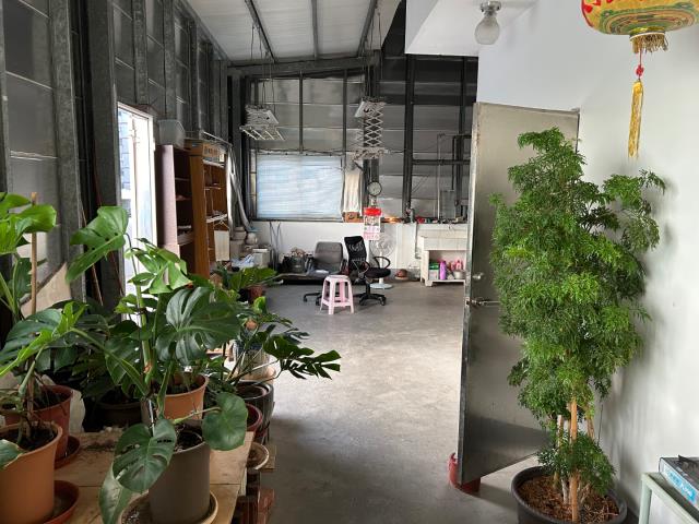 桃園大溪透天_店面-4