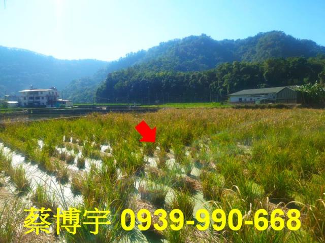 埔里鎮珠生路法拍屋