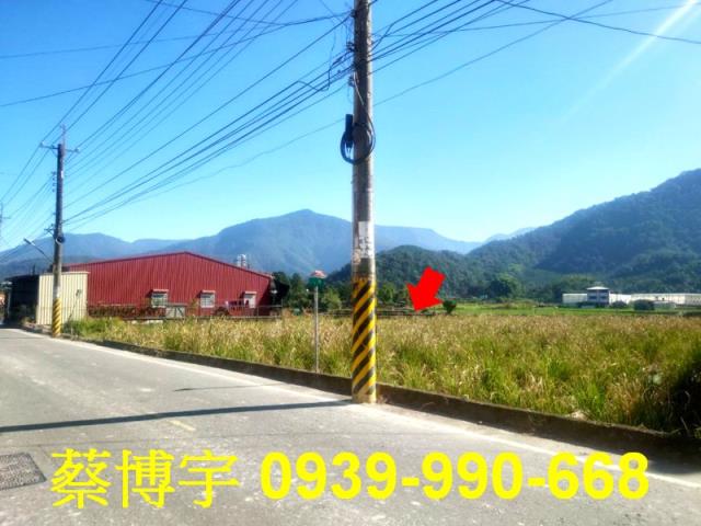 埔里法拍屋珠生路透天