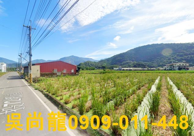 南投埔里法拍透天-3
