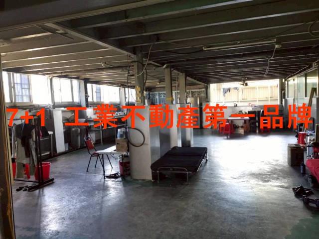 大樹農舍-2