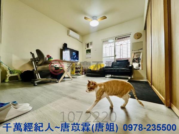 桃園華廈-14