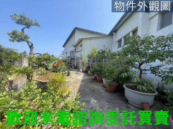 新北三芝廠房-13