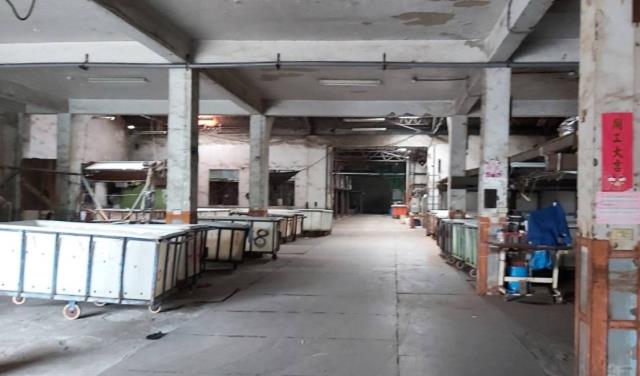 桃園大園廠房_廠辦_倉庫-5