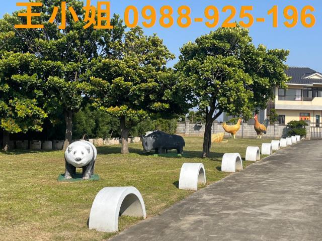 桃園農舍_別墅-10