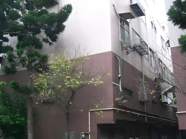 桃園楊梅透天_別墅_楊梅天成醫院法拍-5