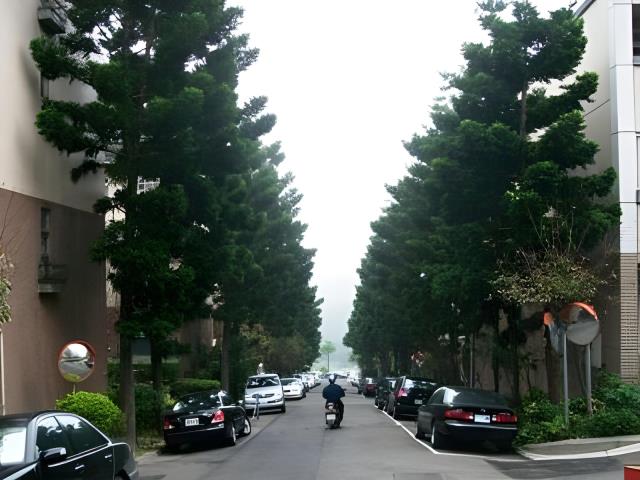 桃園楊梅透天_別墅_楊梅天成醫院法拍-6