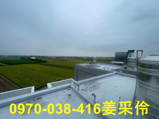 嘉義太保透天_別墅-12