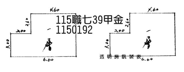 桃園法拍透天_聯新國際醫院-2