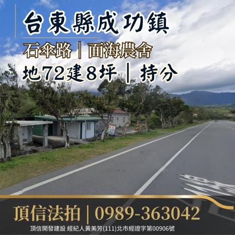 台東農舍_民宿法拍-2