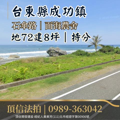 台東農舍_民宿法拍-3
