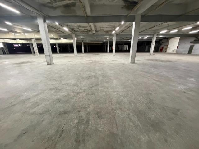 桃園中壢廠房_倉庫-3
