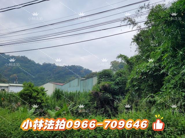 台中豐原農舍_倉庫法拍-2