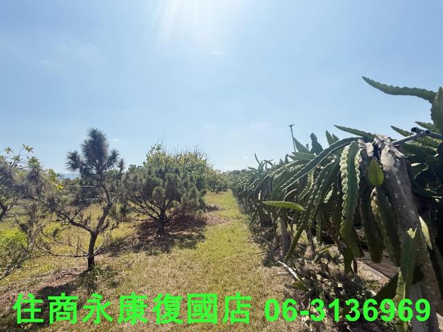 台南玉井農舍-10