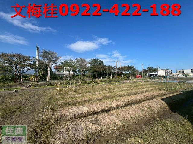 宜蘭農糧加工-4
