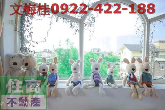 宜蘭五結農舍-4