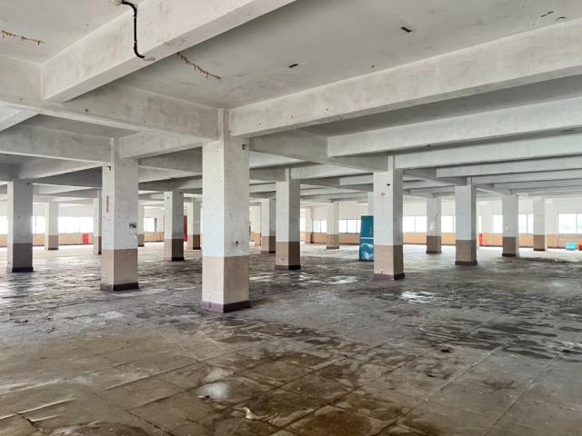 桃園中壢廠房_倉庫-2