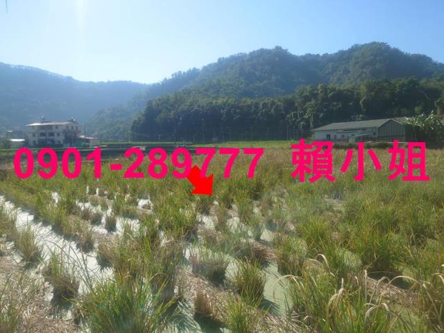埔里法拍透天_倉庫_一樓-7