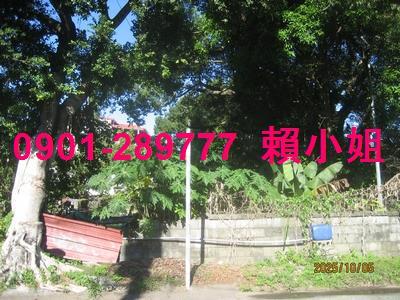 大里透天法拍-5