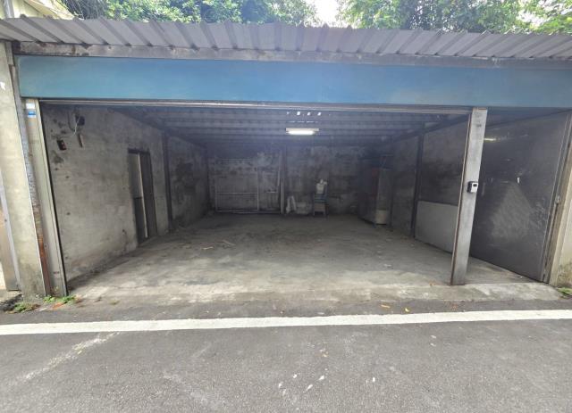 平鎮忠貞市場庭院透天