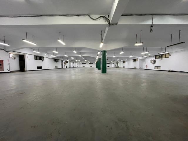 龍潭廠房_廠辦_倉庫-6