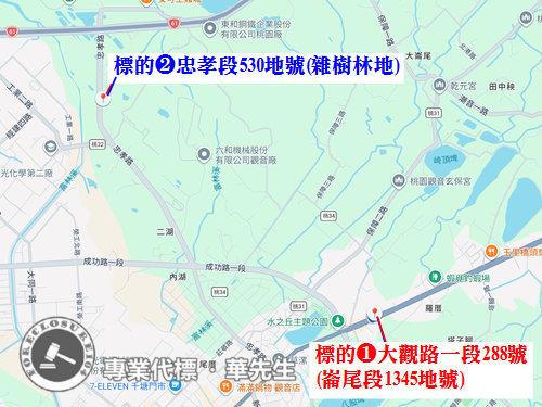 桃園法拍透天_農舍_土地-2