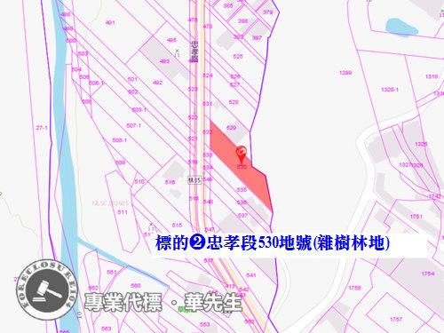 桃園法拍透天_農舍_土地-11