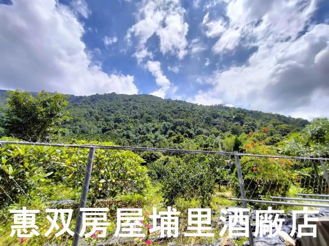 埔里農舍-0