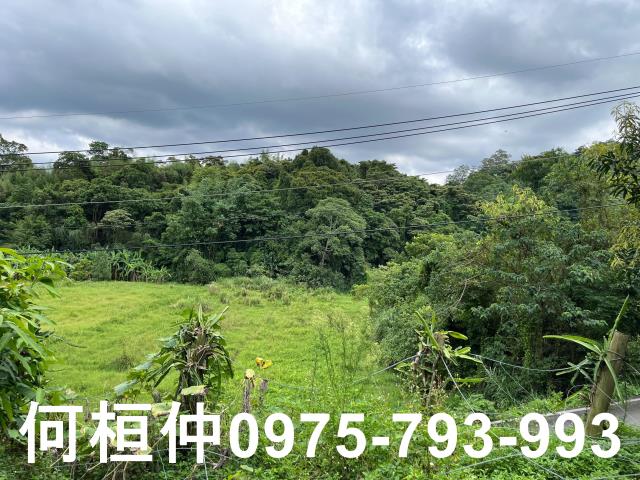苗栗三灣透天_農舍_別墅-3