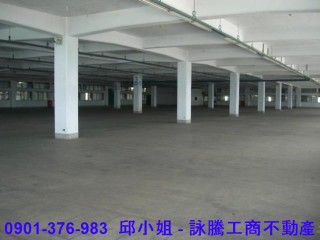 桃園大園廠房_倉庫-2