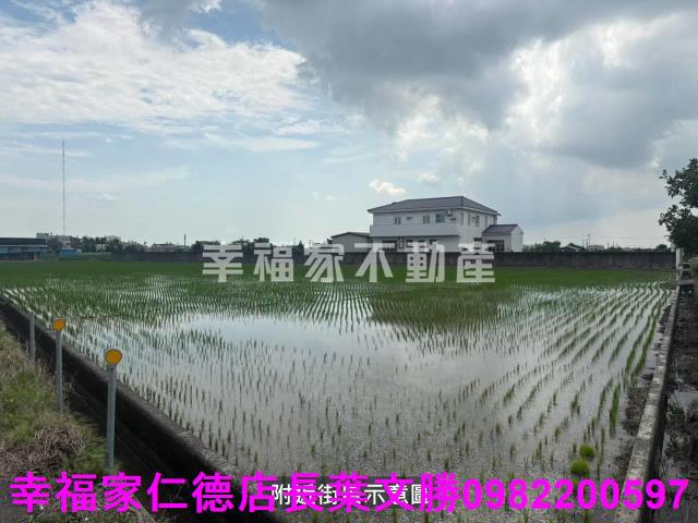 新營雞舍-12